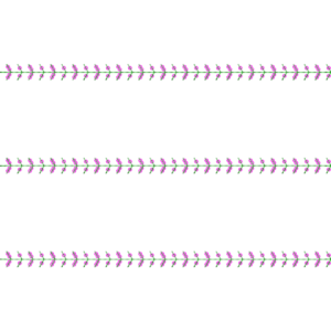 BHUNGLI SEQUENCE 2.5MM & 3MM 0008