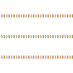 BHUNGLI SEQUENCE 2.5MM & 3MM 0009