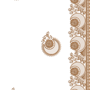SOUTH SAREE UPS0261