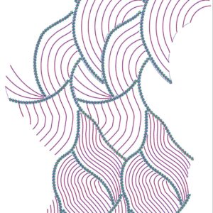 Cording Shravani Designs 46