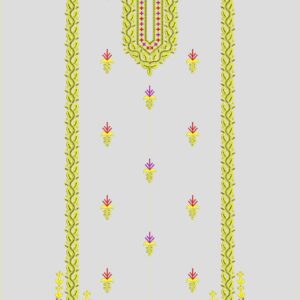 Punjabi Top UPSP117