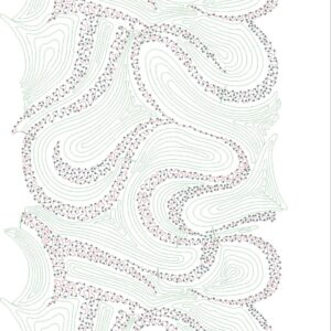 Cording Shravani Designs 31