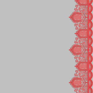 South Concept Saree 78