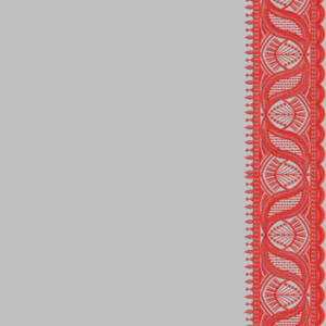 South Concept Saree 83