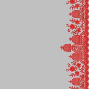 South Concept Saree 93