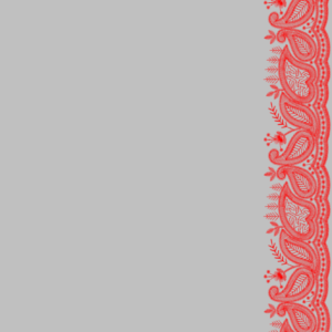 South Concept Saree 96