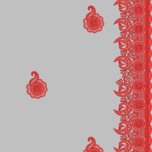South Concept Saree 172
