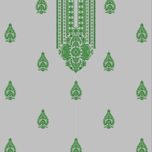 Punjabi Top UPSP221