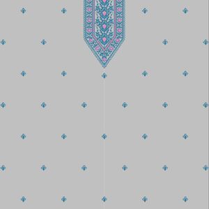 Punjabi Top UPSP248