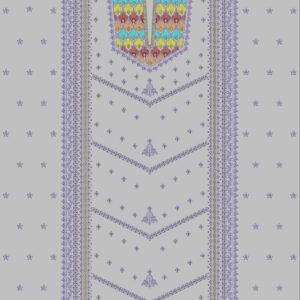 Punjabi Top UPSP268