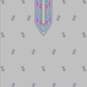 Punjabi Top UPSP303