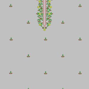 Punjabi Top UPSP378