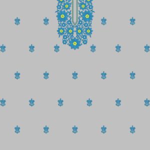 Punjabi Top UPSP211