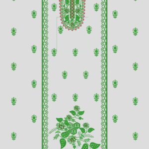 Long suit with panel top and dupatta 247