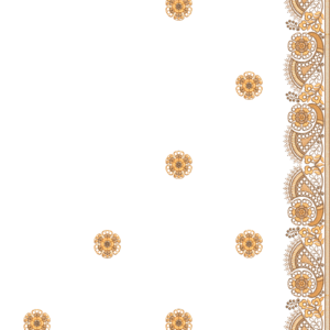 Premium Cording C Pallu Set 061