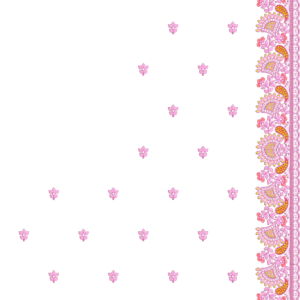Premium Cording C Pallu Set 065