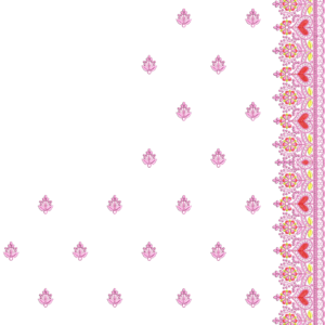 Premium Cording C Pallu Set 066