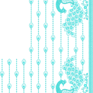 Premium Cording C Pallu Set 067