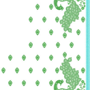 Premium Cording C Pallu Set 087