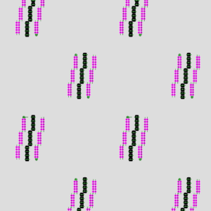 BHUNGLI ALL OVER 2.5 & 3 MM SEQUIN 180