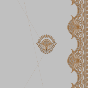 Designer Multi Saree 539