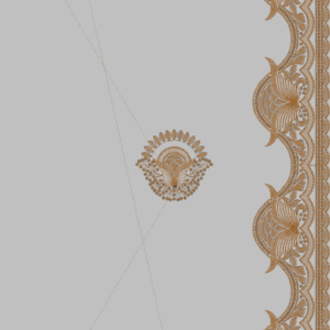 MULTI C PALLU DESIGNS 287