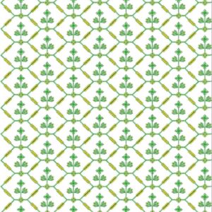 Cording Shravani Designs 139