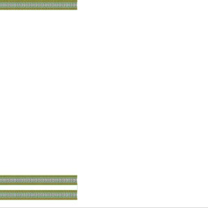 Beads Dupatta 17