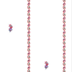 Beads Dupatta 30