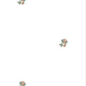 Beads Dupatta 42