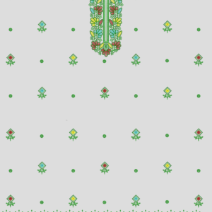 Designer Suit 165