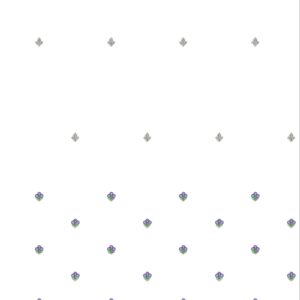 Beads Daman 266