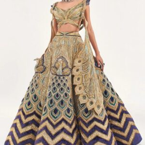 Lehengha Designs