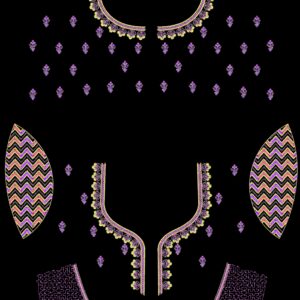 Exclusive Fancy Blouse 205