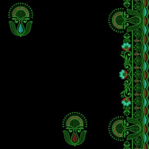 Multi Vantara Designer Saree 42