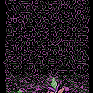 All Over Designs 367
