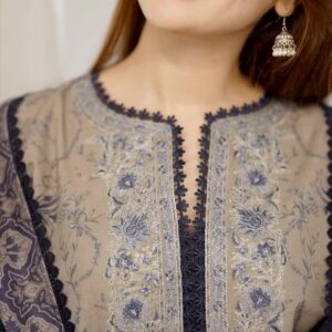 Pakistani Style Neck Designs